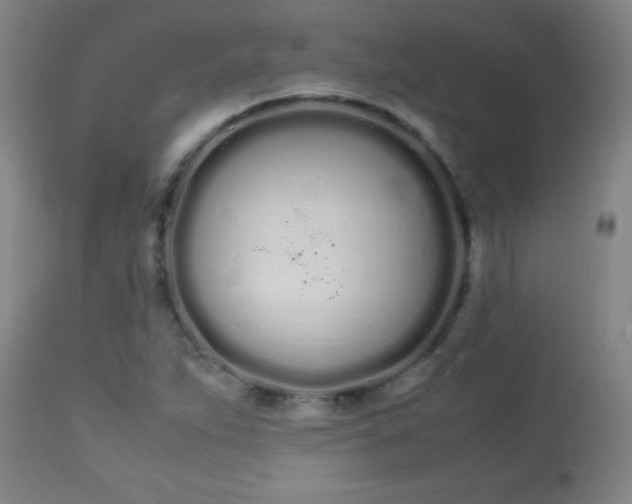 X0000113621263200910091522