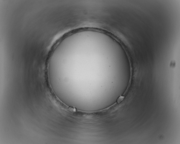 X0000113621264200910091522