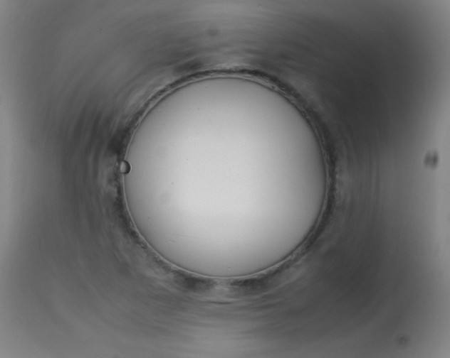 X0000113621265200910091522