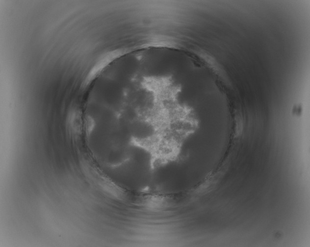 X0000113621266200910091522