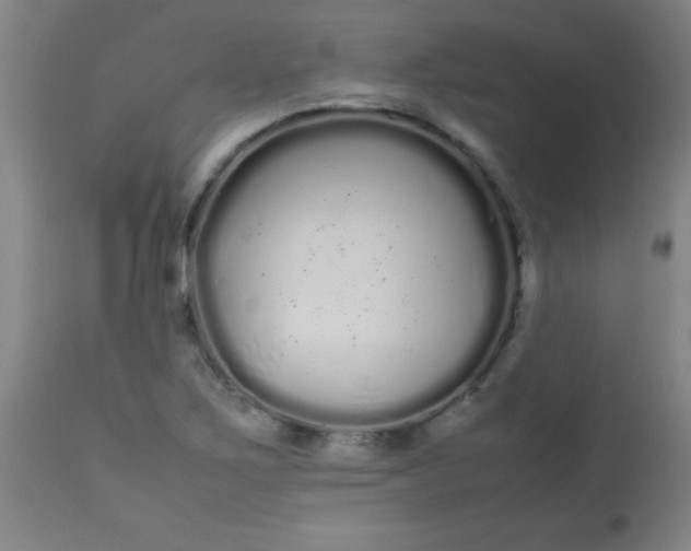 X0000113621267200910091522