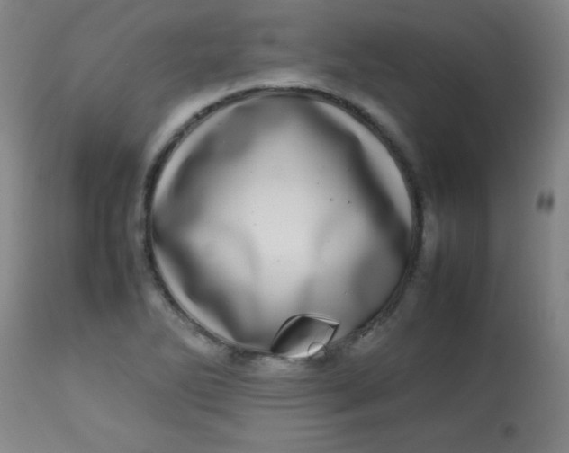 X0000113621270200910091522