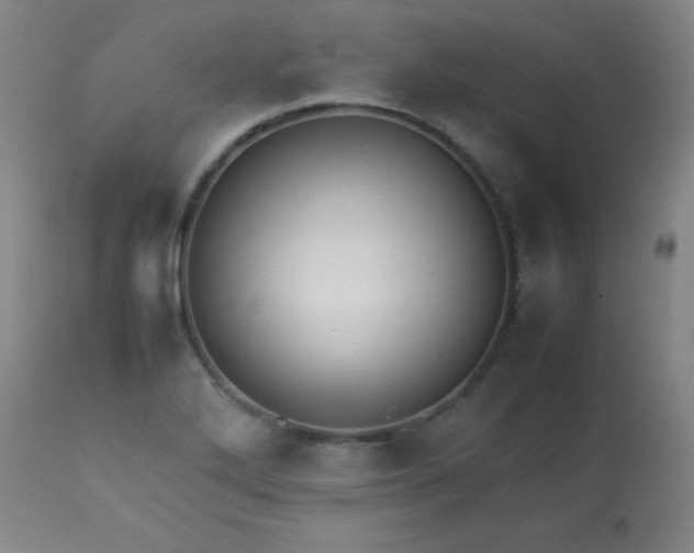 X0000113621272200910091522