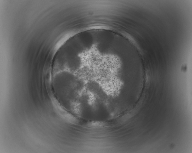 X0000113621274200910091522