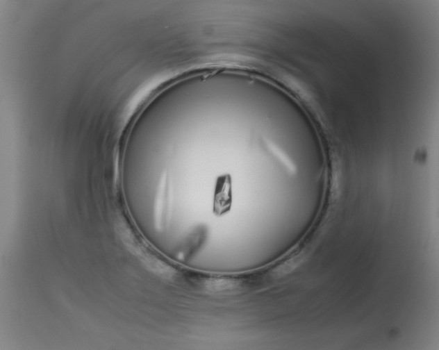 X0000113621275200910091522