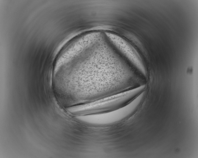 X0000113621276200910091522