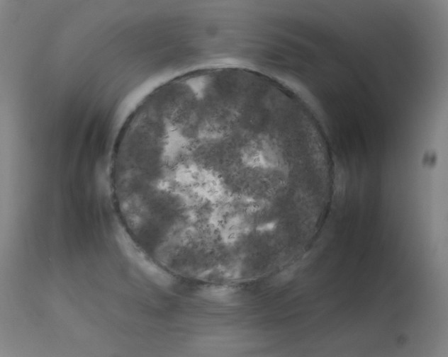 X0000113621278200910091522