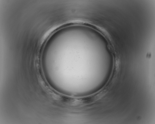 X0000113621279200910091522