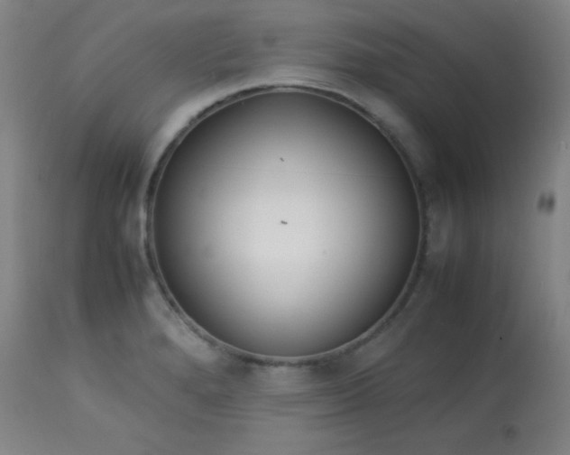 X0000113621280200910091522