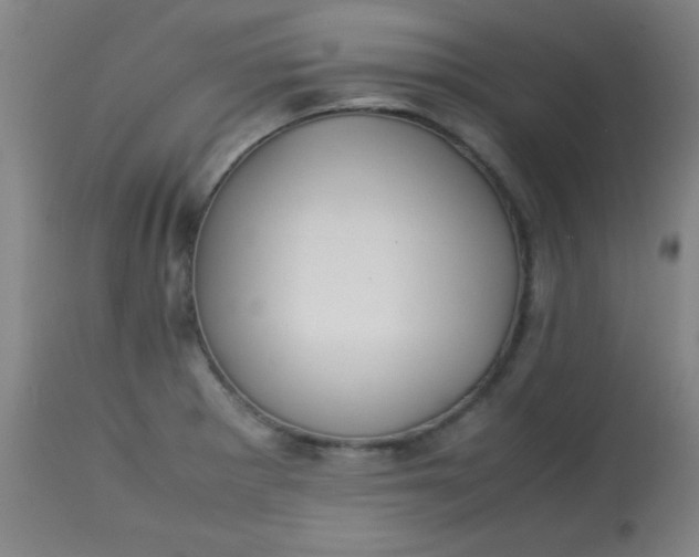 X0000113621281200910091522