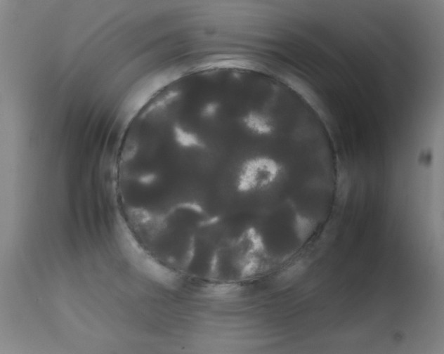 X0000113621282200910091522