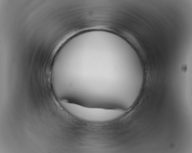 X0000113621284200910091522