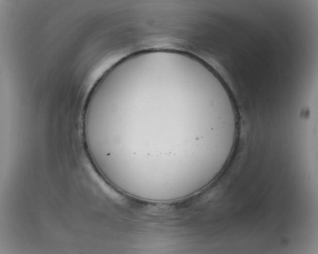 X0000113621285200910091522