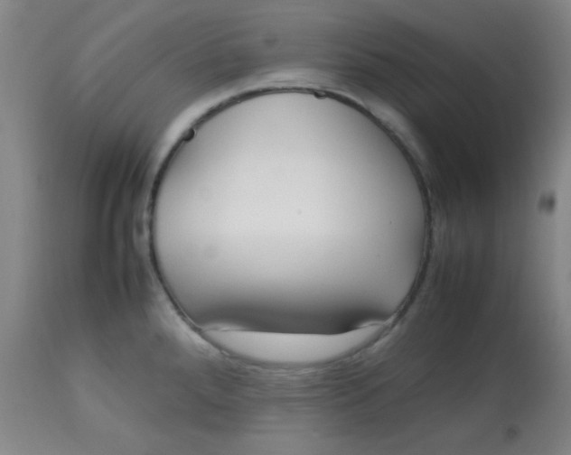 X0000113621288200910091522