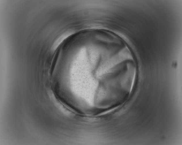 X0000113621289200910091522