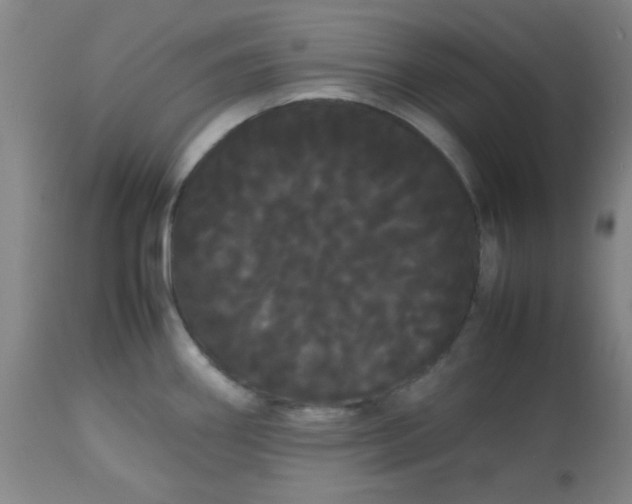 X0000113621290200910091522