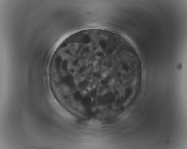 X0000113621291200910091522