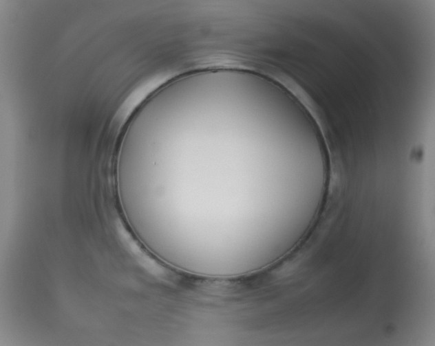 X0000113621293200910091522