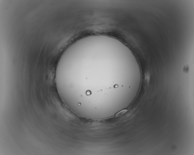 X0000113621300200910091521