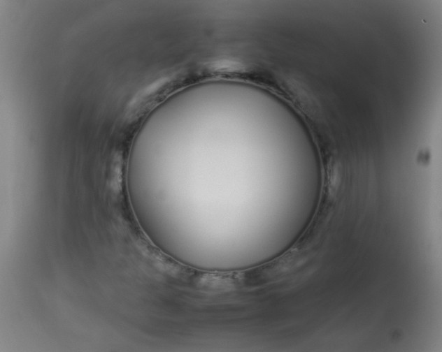 X0000113621301200910091521