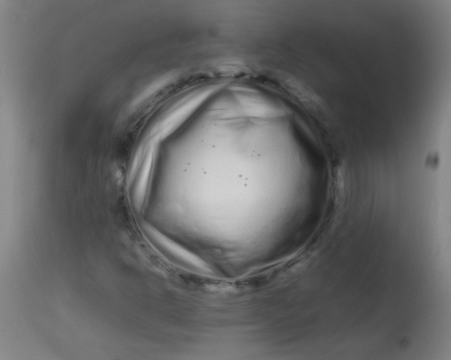 X0000113621302200910091521