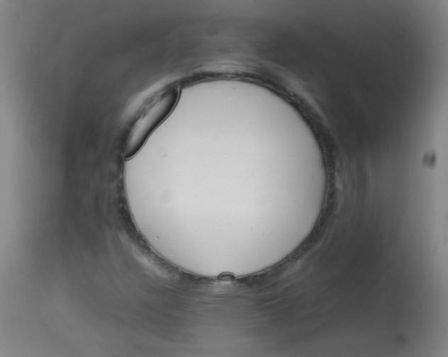 X0000113621304200910091521