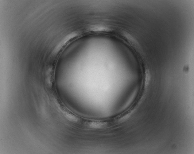 X0000113621305200910091521