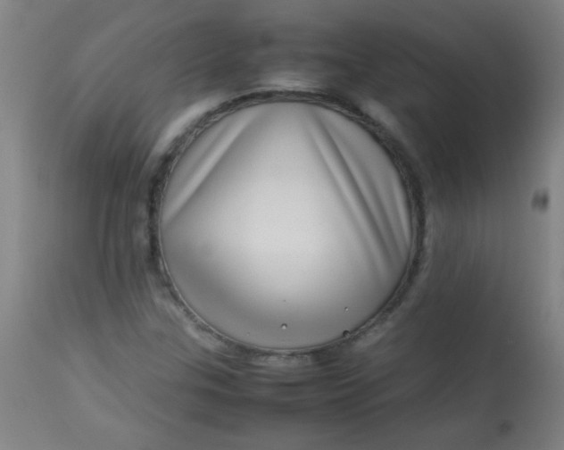 X0000113621307200910091521