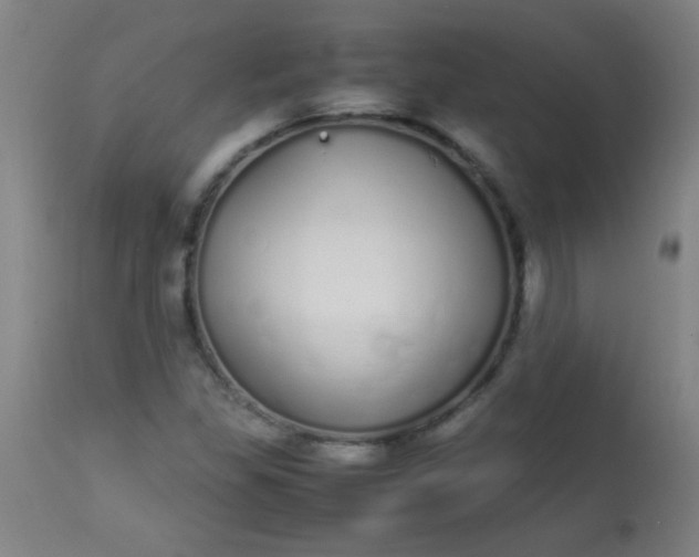 X0000113621309200910091521