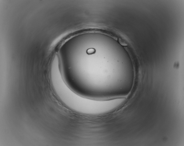 X0000113621310200910091521