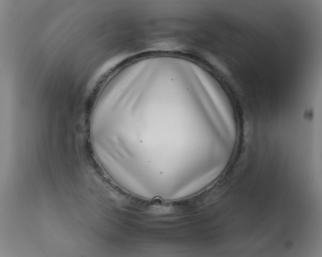 X0000113621315200910091521