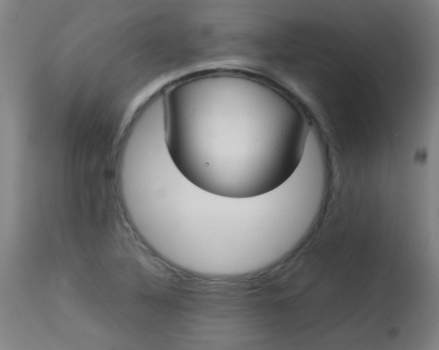 X0000113621316200910091521