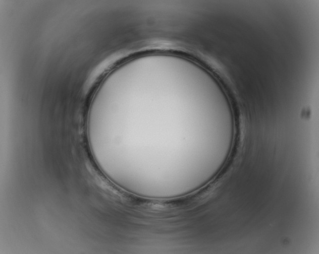 X0000113621318200910091521