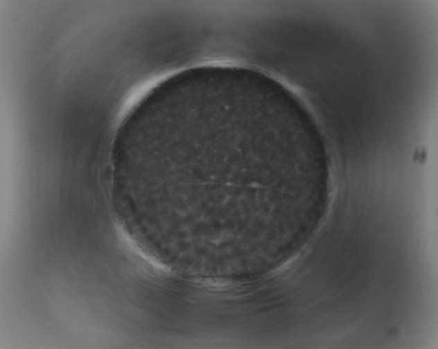 X0000113621319200910091521