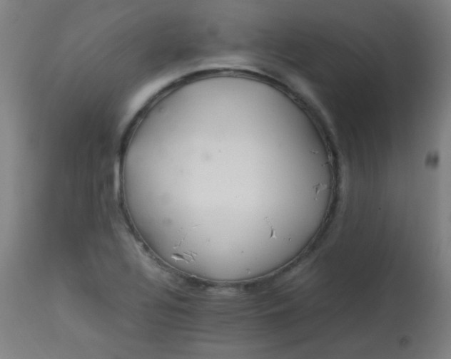 X0000113621320200910091522