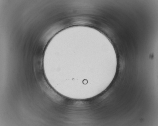 X0000113621322200910091522