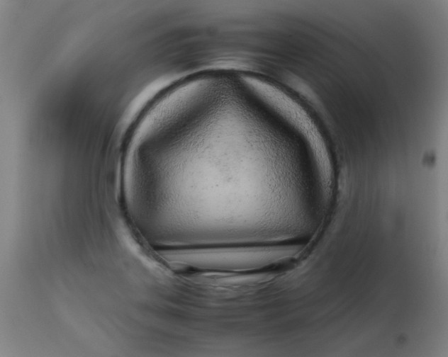 X0000113621323200910091522