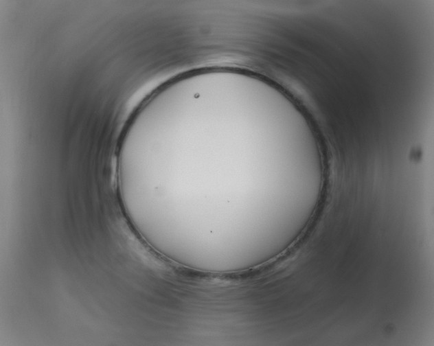 X0000113621324200910091522