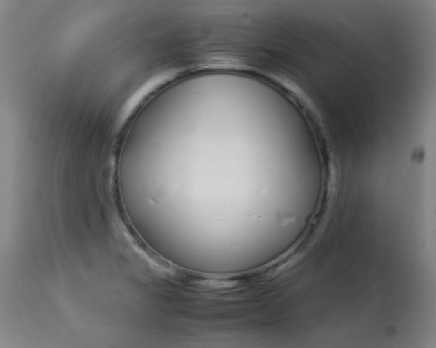 X0000113621325200910091522