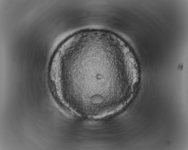 X0000113621327200910091522