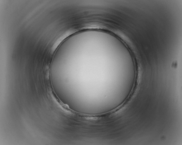 X0000113621329200910091522