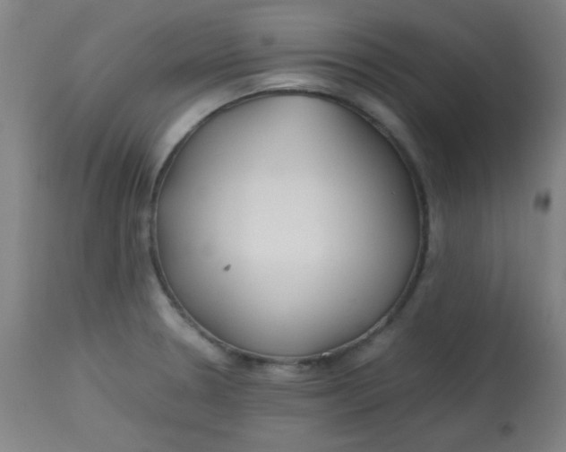 X0000113621330200910091522