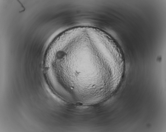 X0000113621331200910091522