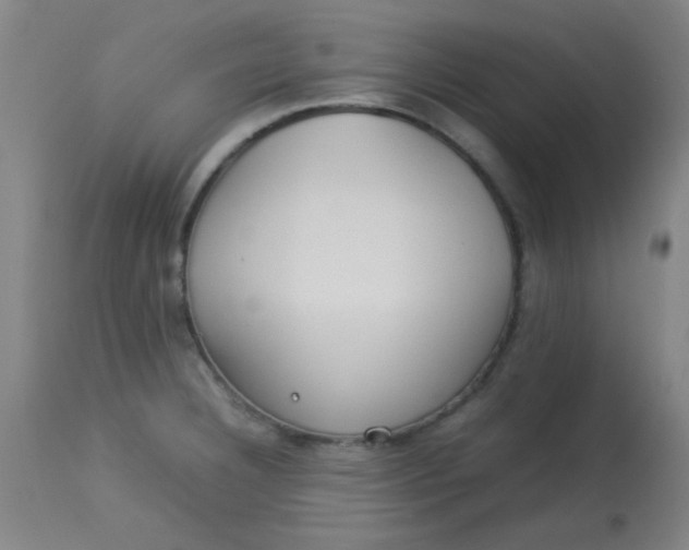 X0000113621332200910091522