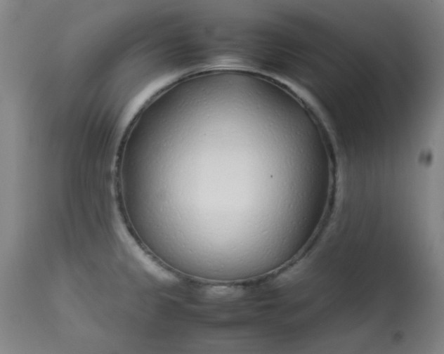 X0000113621333200910091522