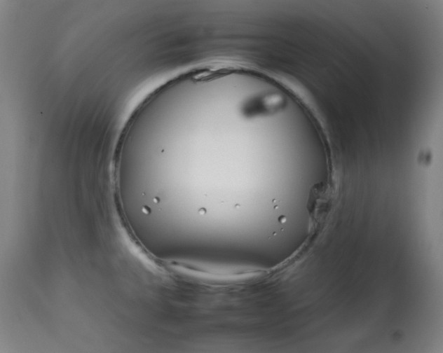 X0000113621335200910091522