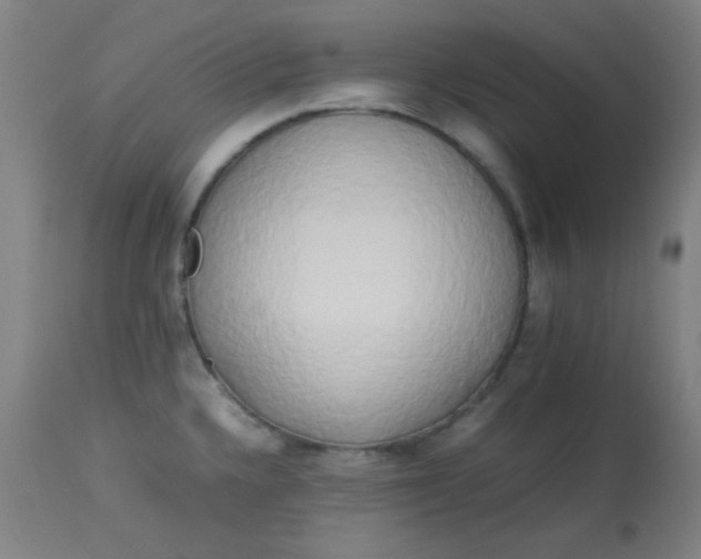 X0000113621336200910091522