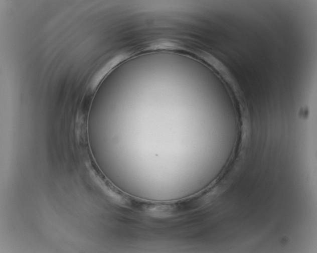 X0000113621337200910091522