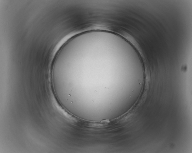 X0000113621339200910091522