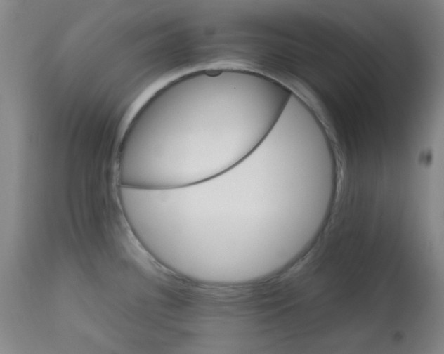 X0000113621340200910091522